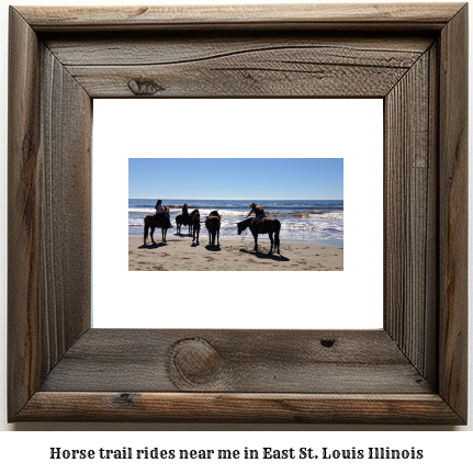 horse trail rides near me in East St. Louis, Illinois